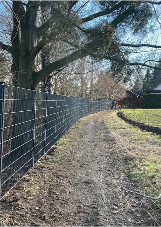 Neuer Maschendrahtzaun an einem Waldweg
